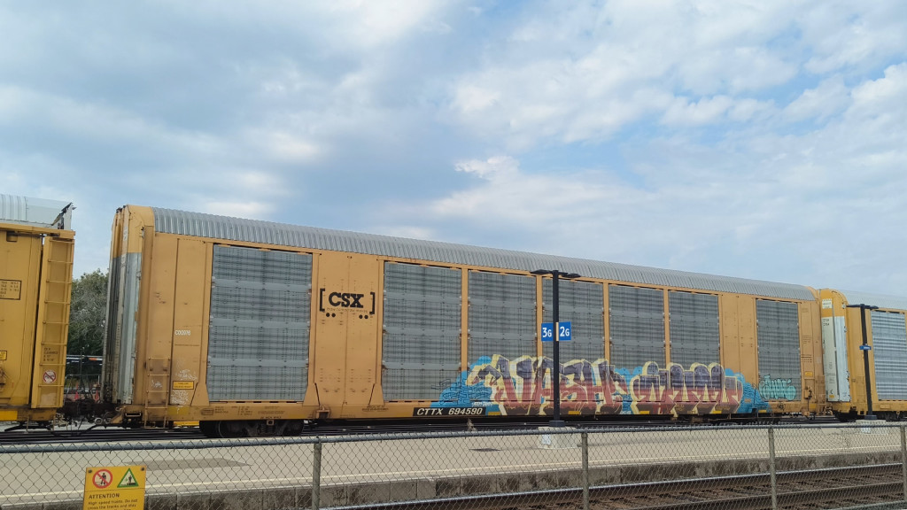 CSX C00976 (Body) CTTX 694590 (Flat)